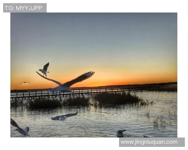 李小笨足球明星的成长之路与梦想追逐的精彩故事